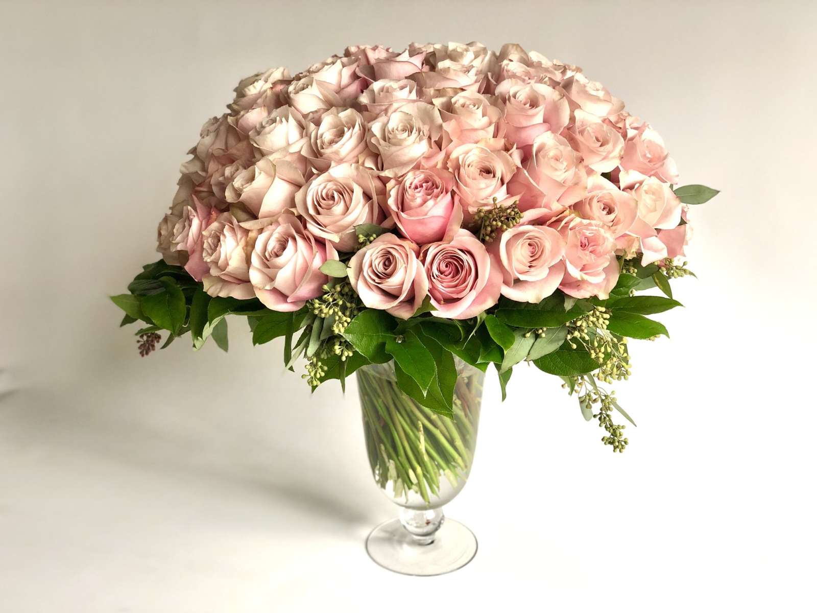 Classic Élan - Secret Garden Roses