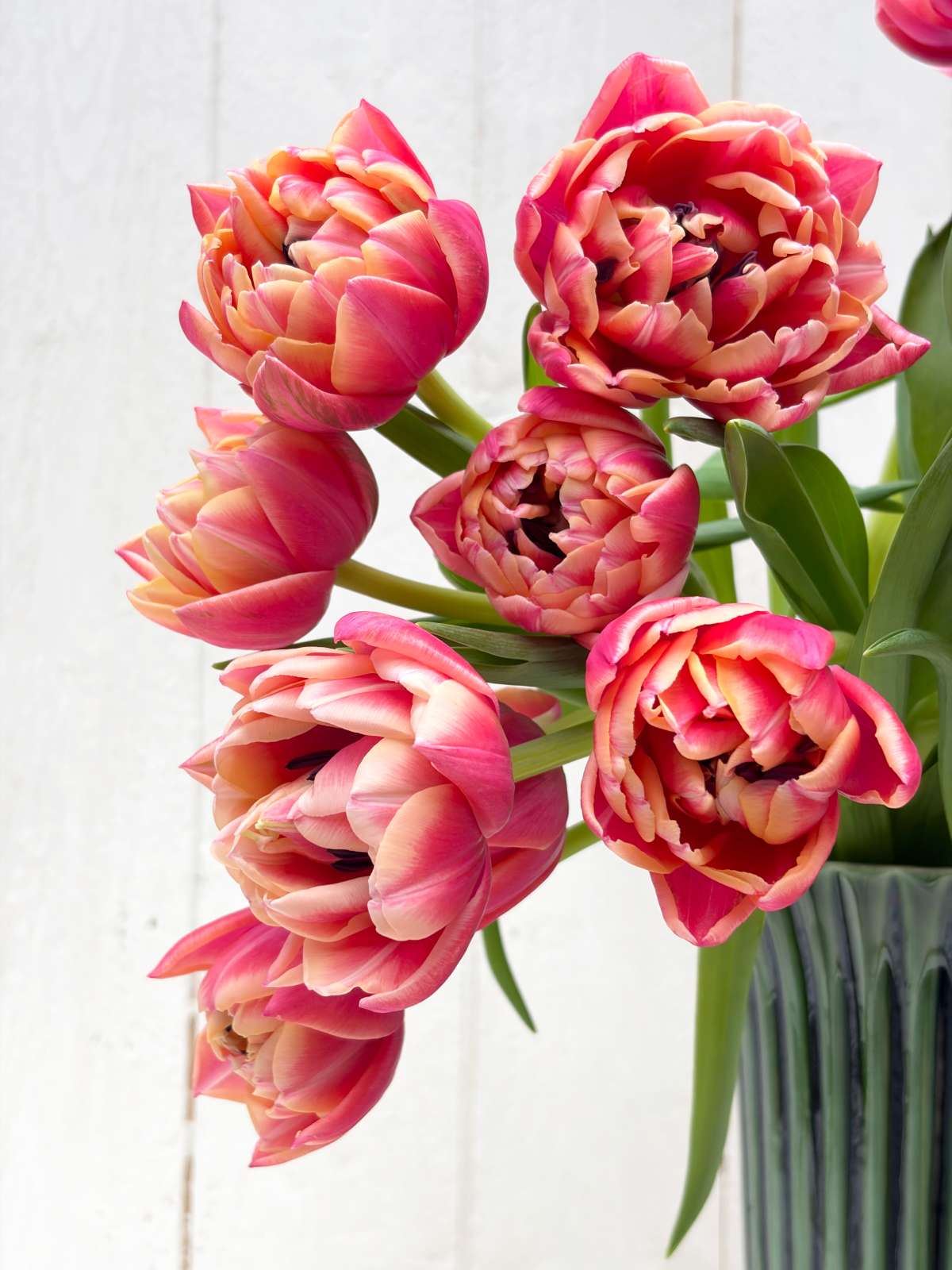 Inspiration from the French impressionists