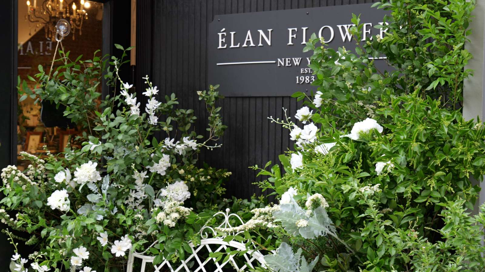 Élan Flowers storefront in TriBeCa with the black signage reading Élan Flowers New York Est. 1983, framed by lush white and green floral arrangements