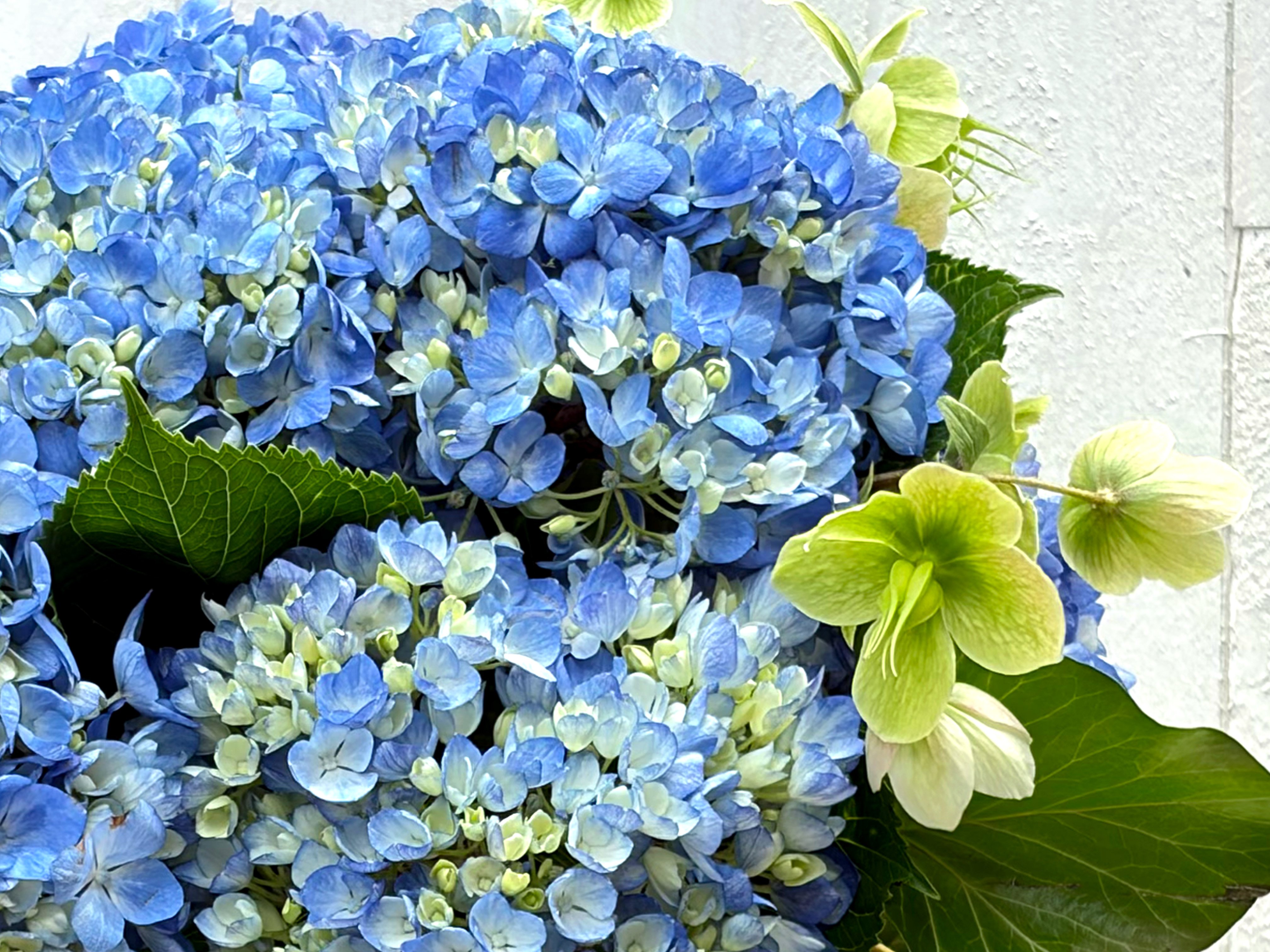 Giverny Blue  Alternative Image