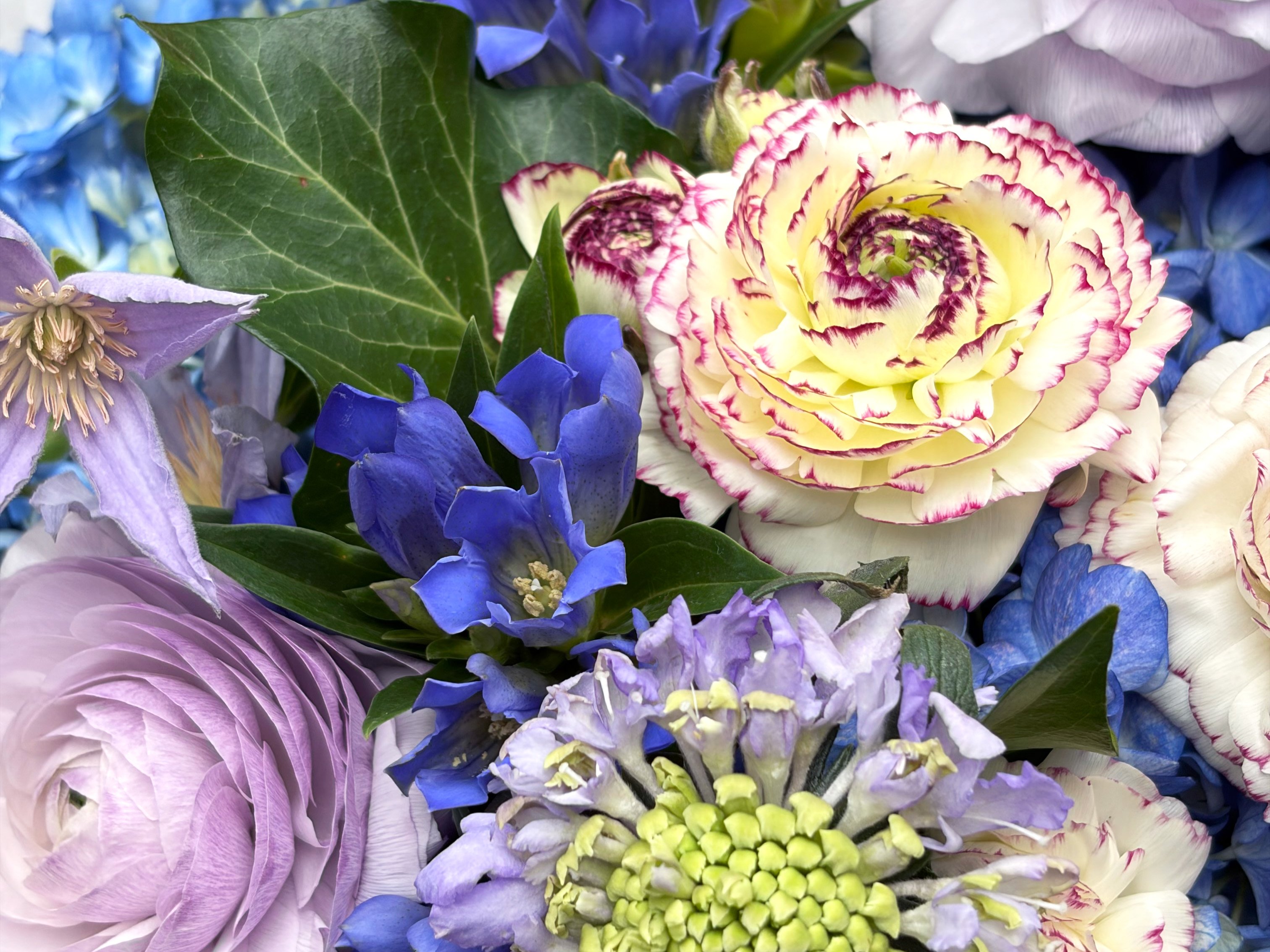 Monet's Garden Alternative Image