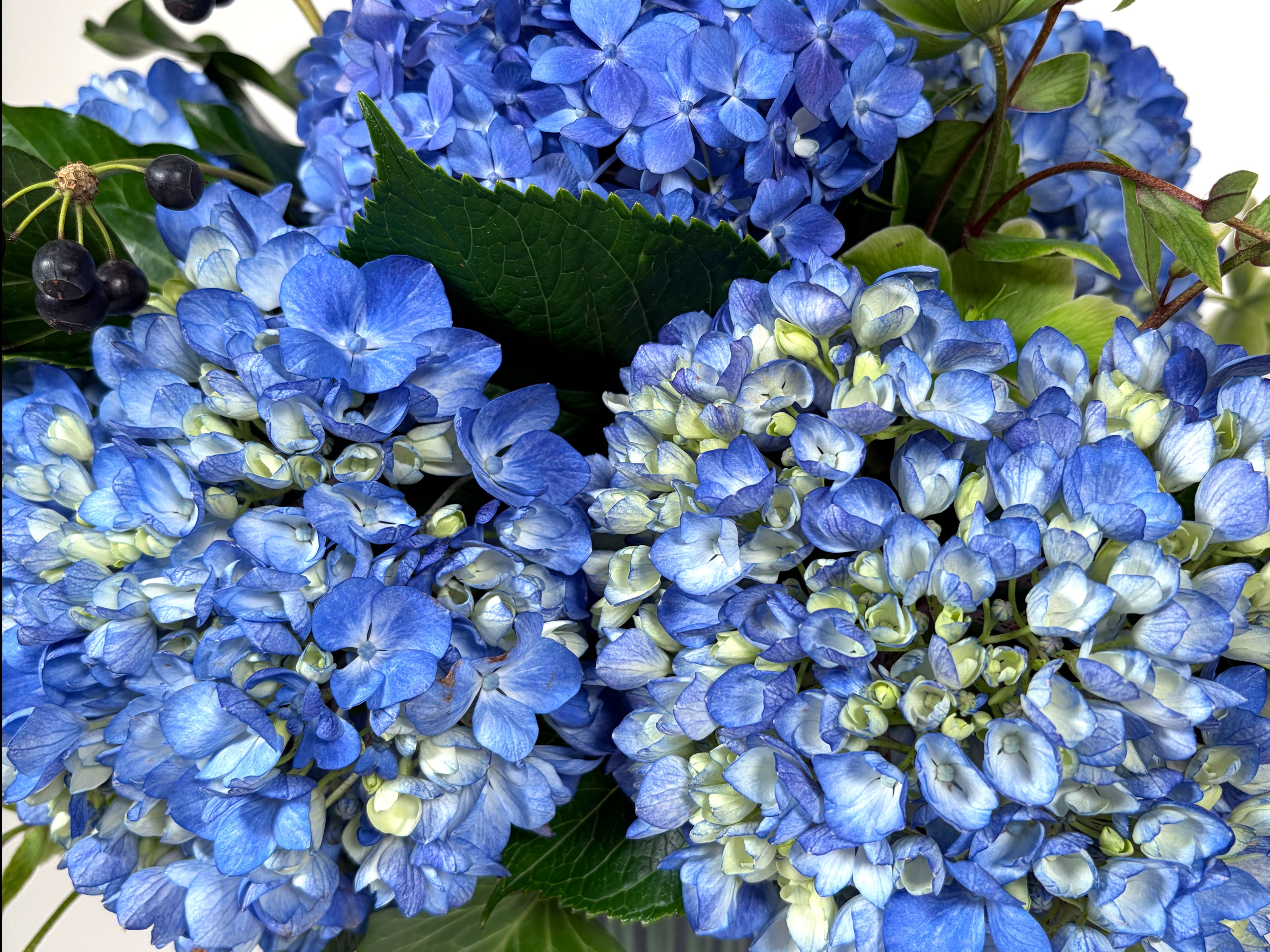 Giverny Blue  Alternative Image