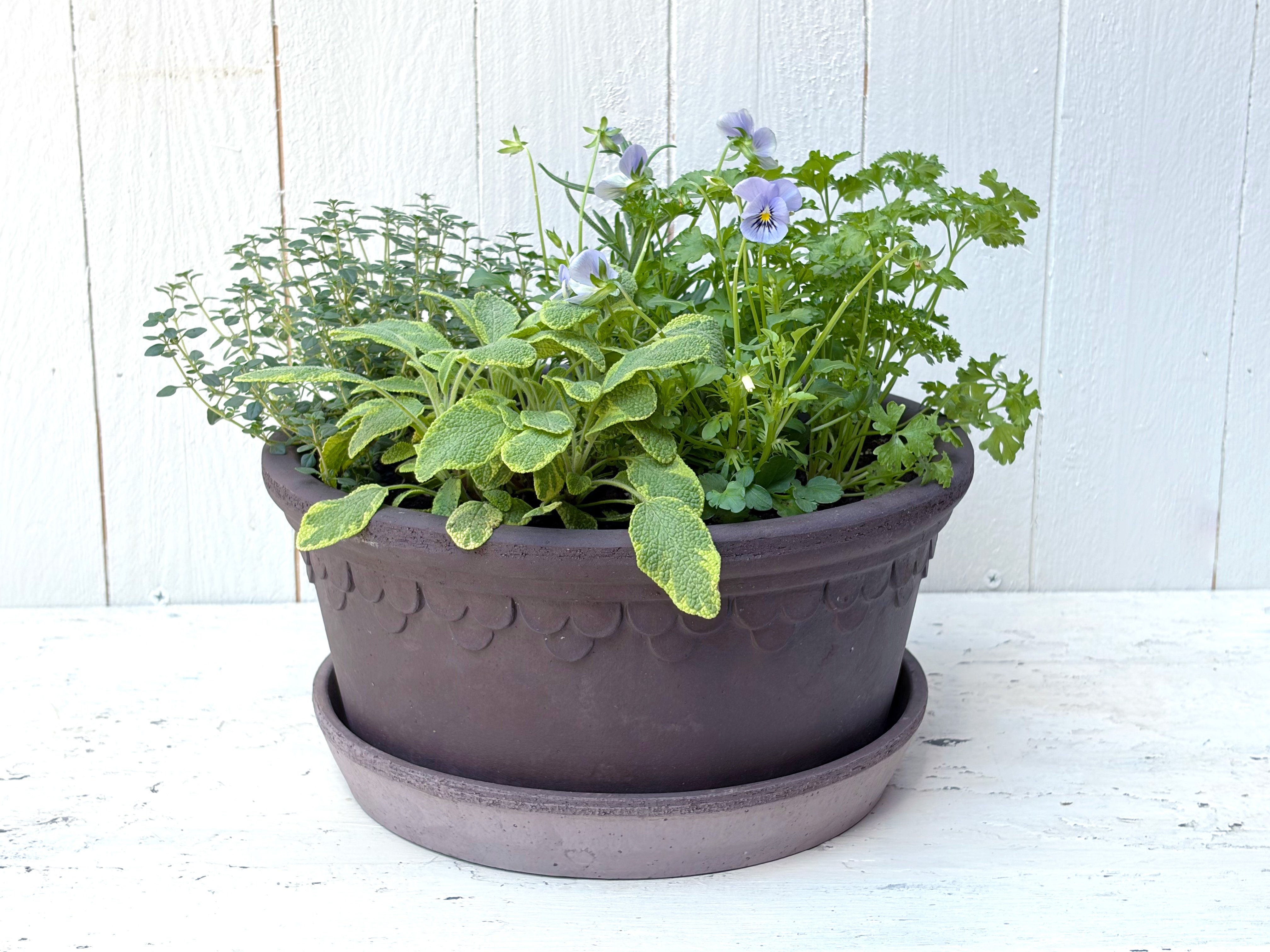 Kitchen Potager Herb Garden 