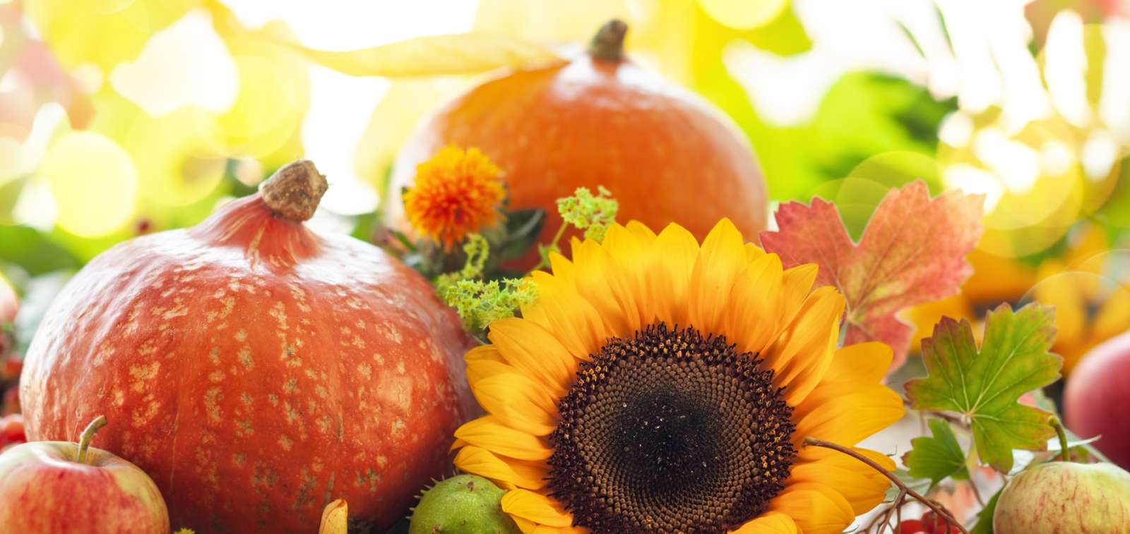 Fall Flowers in Franklin Lakes, NJ | Autumn Bouquets & Thanksgiving Flowers