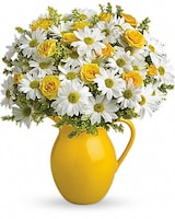 Teleflora's Sunny Day Pitcher of Daisies