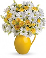 Teleflora's Sunny Day Pitcher of Daisies