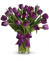 Passionate Purple Tulips