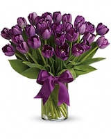 Passionate Purple Tulips