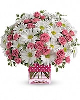 Teleflora's Polka Dots and Posies