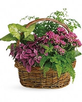 Secret Garden Basket