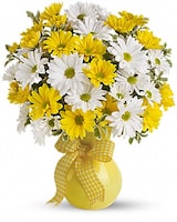 Teleflora's Upsy Daisy