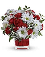 Red And White Delight by Teleflora