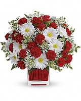 Red And White Delight by Teleflora