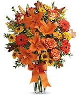 Burst of Autumn