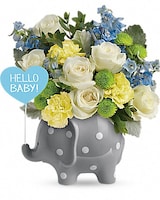 Teleflora's Hello Sweet Baby - Blue