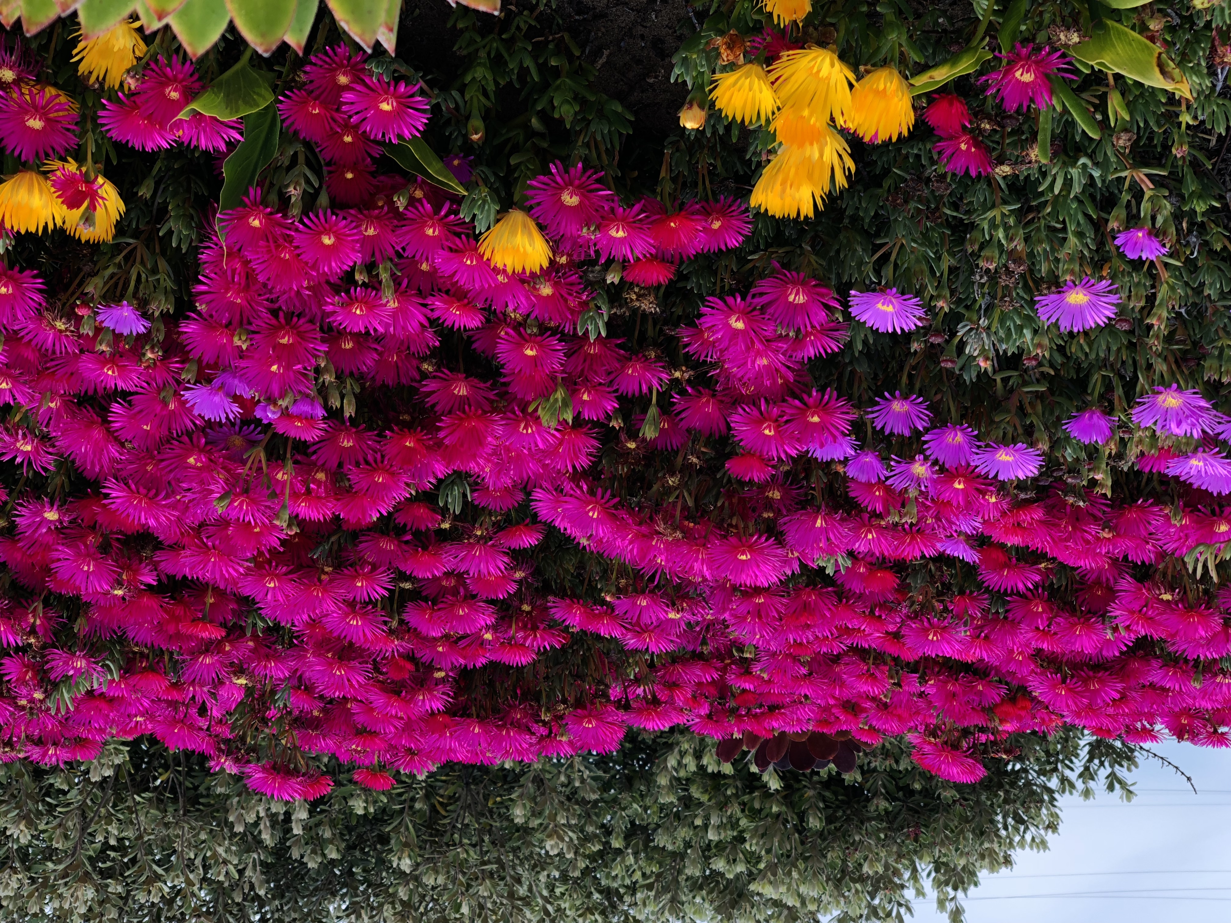 Test Name 838