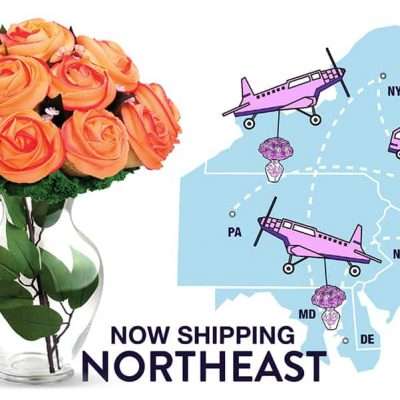 It’s Official, We Are Now Shipping!