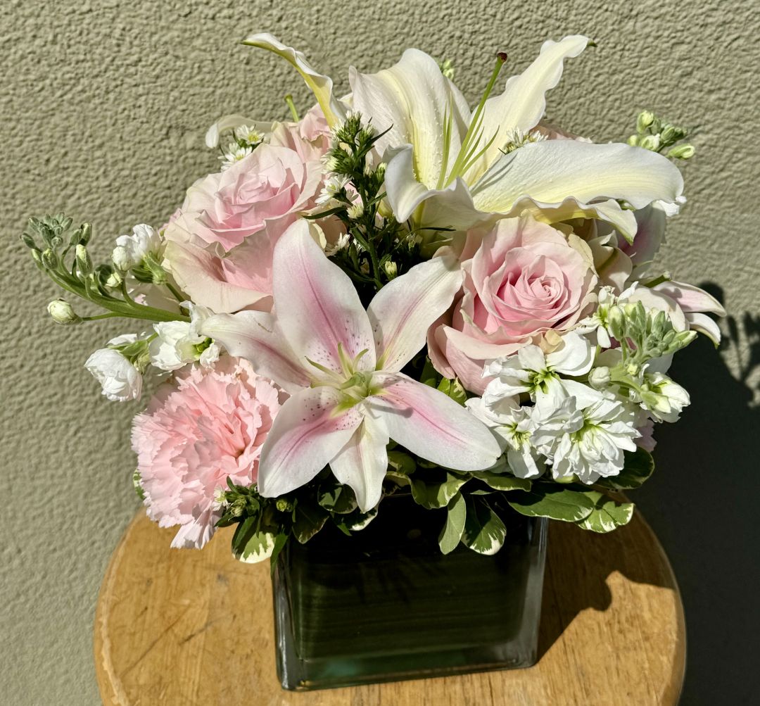 Pink and White Cube