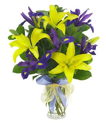Lily & Iris Surprise