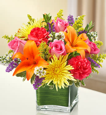 Multicolor Bright