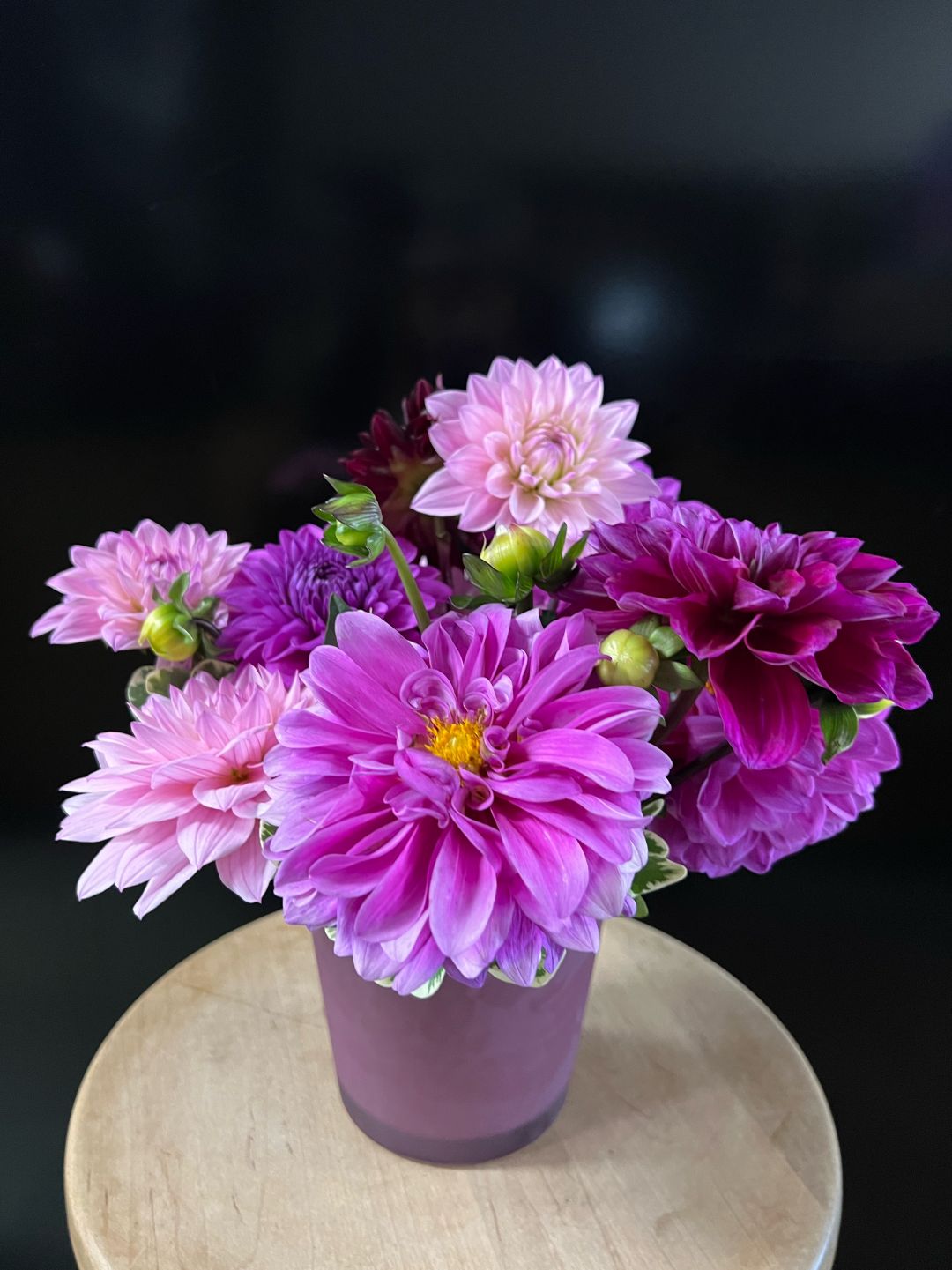 Petal & Plum