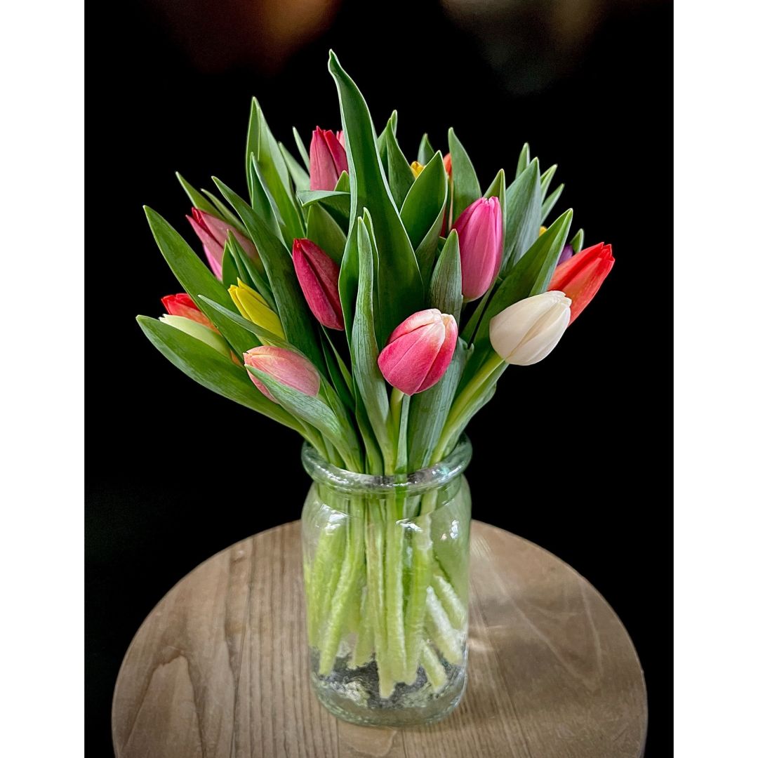 Mom's Favorite- Spring Tulips