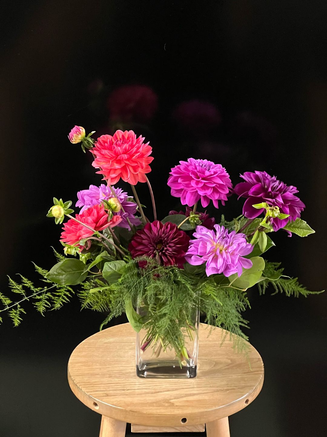 Dahlia Dance
