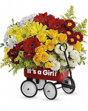 Baby's Wow Wagon by Teleflora - Girl