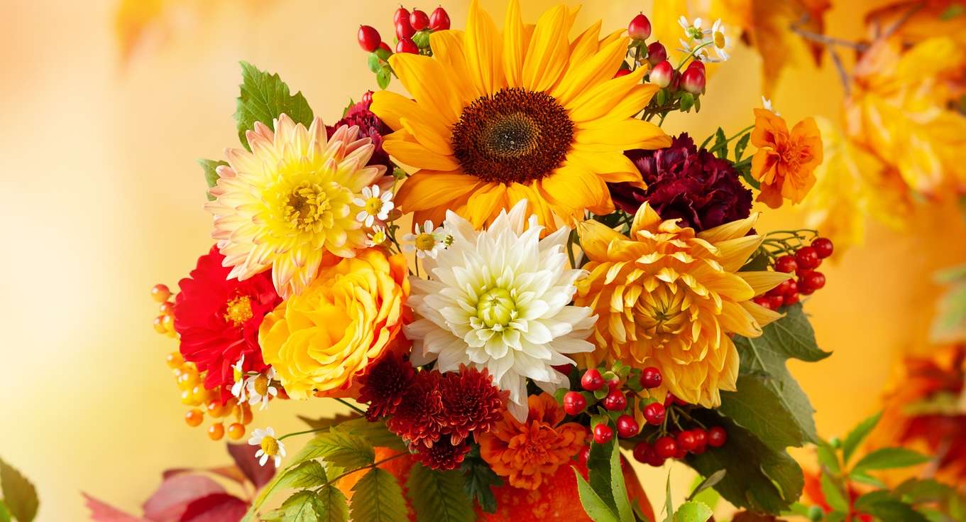 Fall Flowers in Mission Viejo | Autumn Bouquets & Seasonal Flowers