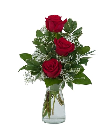Simply Roses