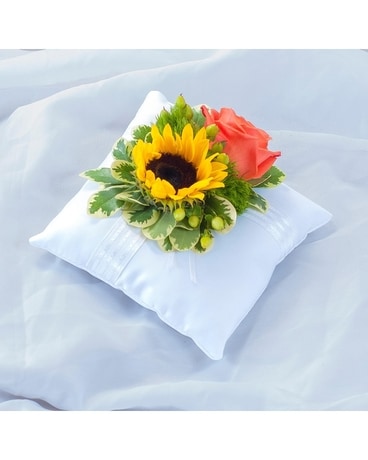 Sunset Pillow Insert