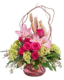 Oh, So Beautiful Blooms