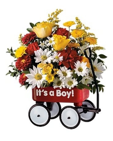 Teleflora's Baby's First Wagon - Boy