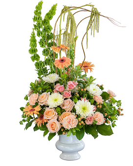 Divine Grace Tribute
