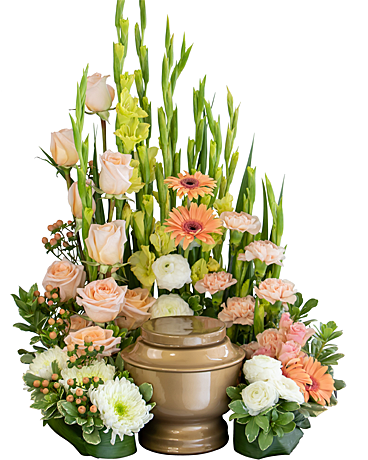 Divine Grace Surround