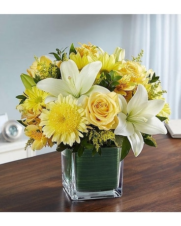 Healing Tears™ Yellow & White