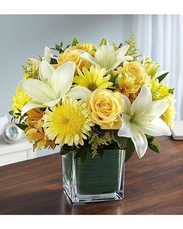 Healing Tears™ Yellow & White