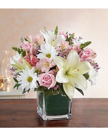 Healing Tears™ Pink & White