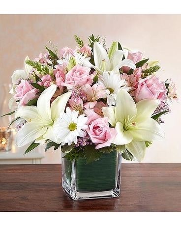 Healing Tears™ Pink & White