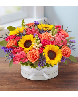 Beautiful Blooms