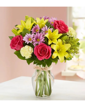 Fields of Europe for Mom LGE