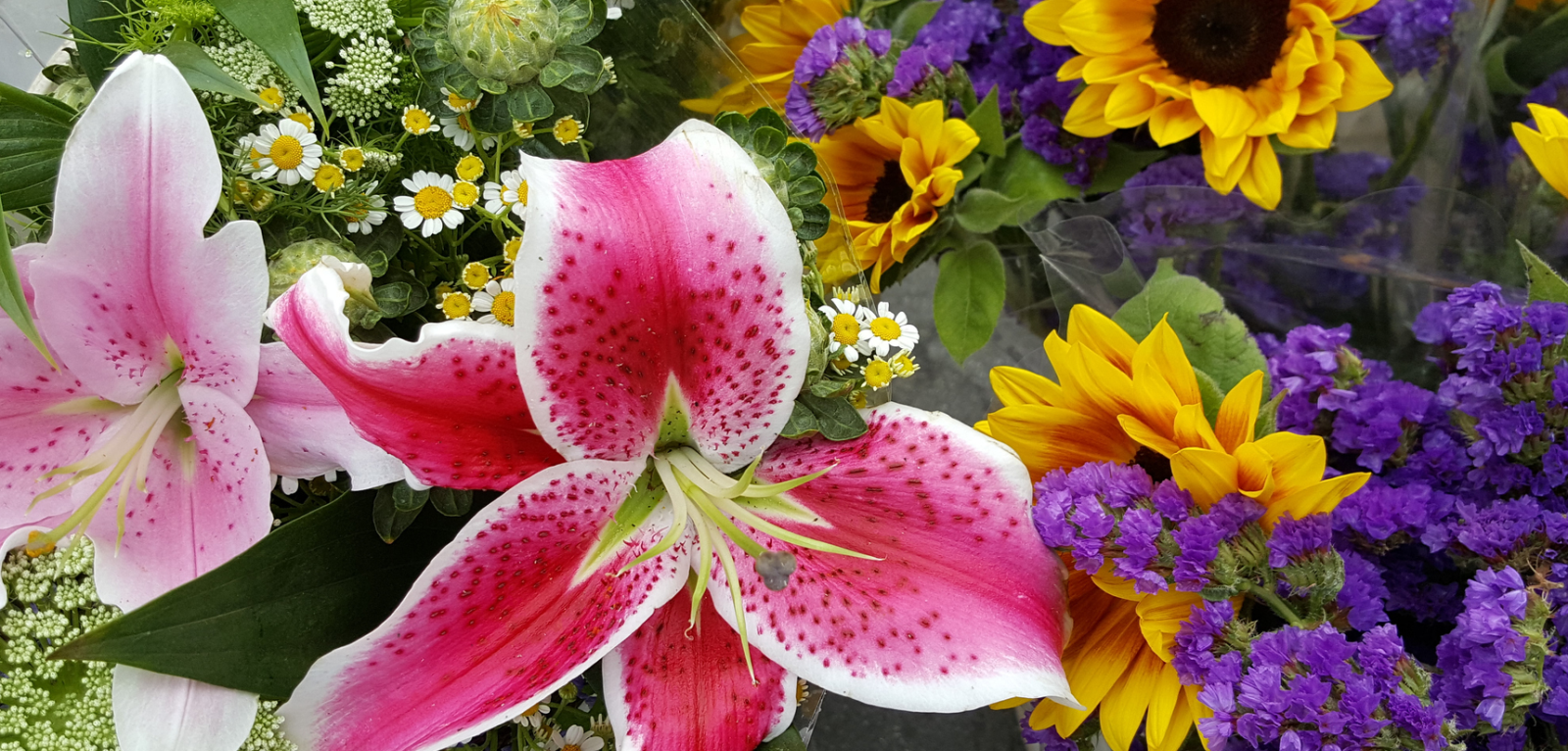 How to Keep Summer Flowers Looking Beautiful During Orange County's Warmest Days