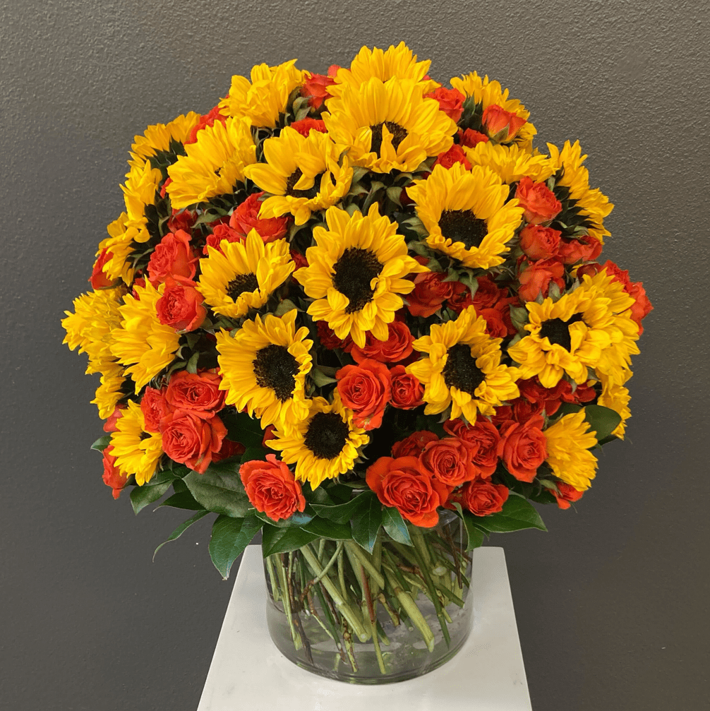 Sunflower Spectacular