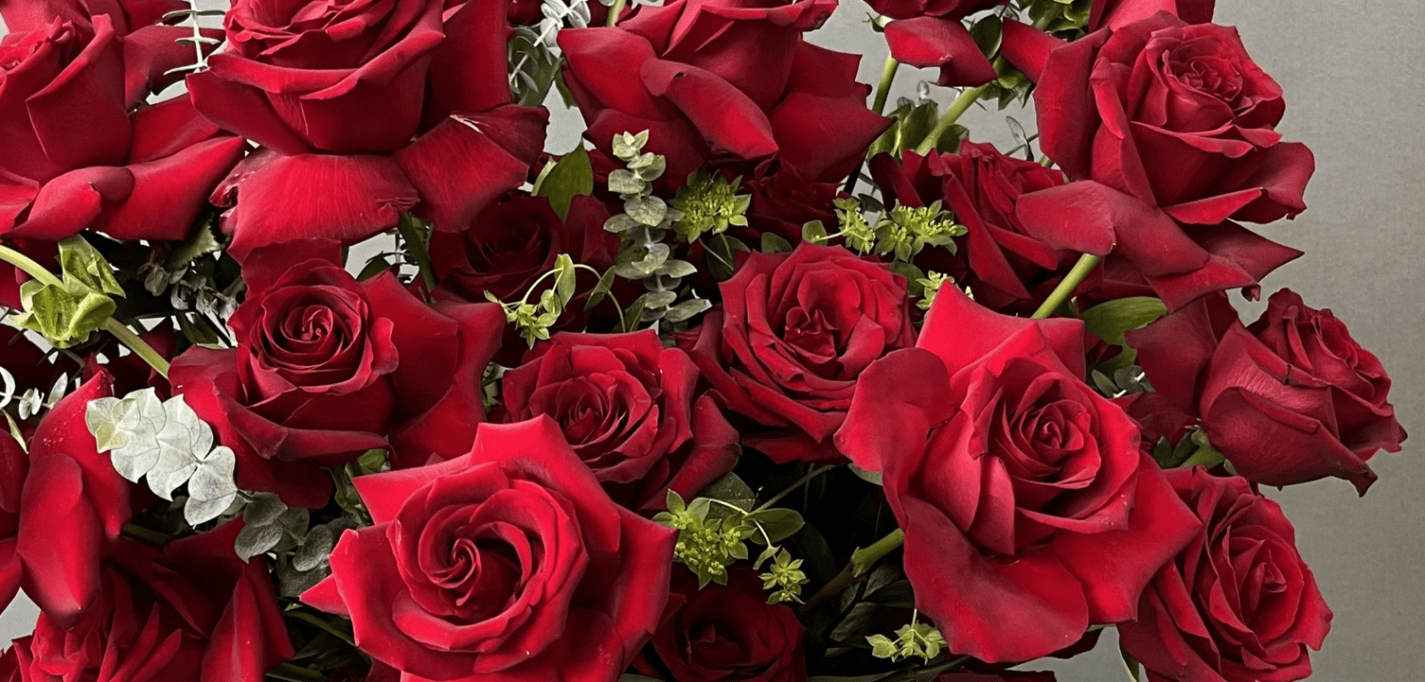 Roses