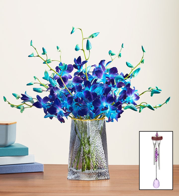 Ocean Breeze Orchids