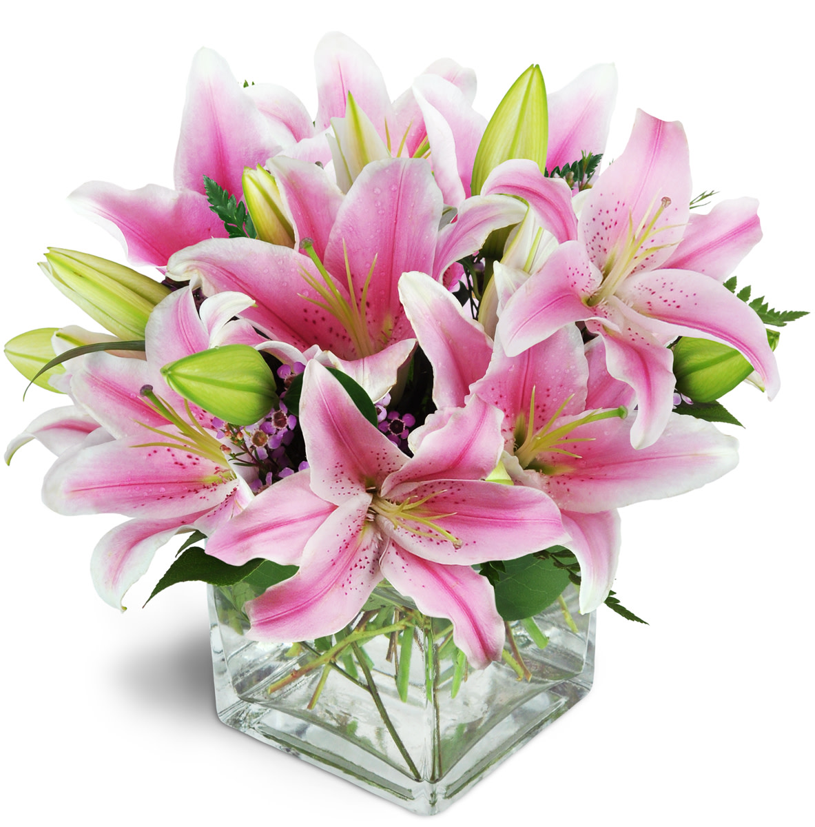 Pink Delight™