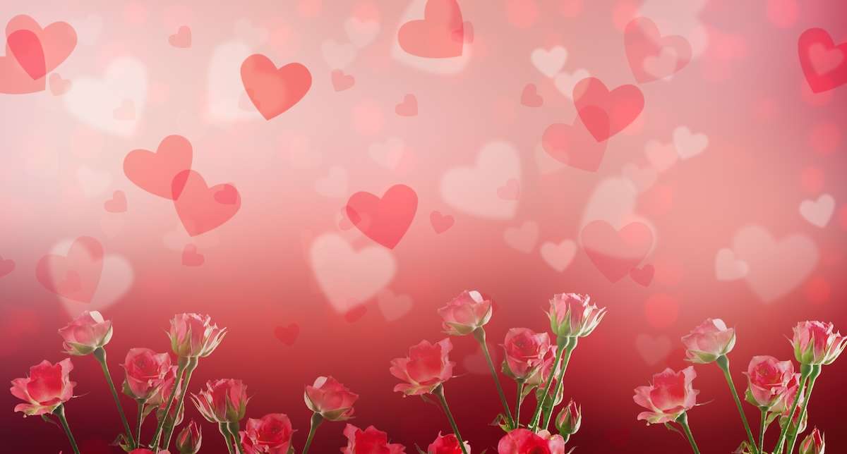 Romantic Flowers forValentine's Day