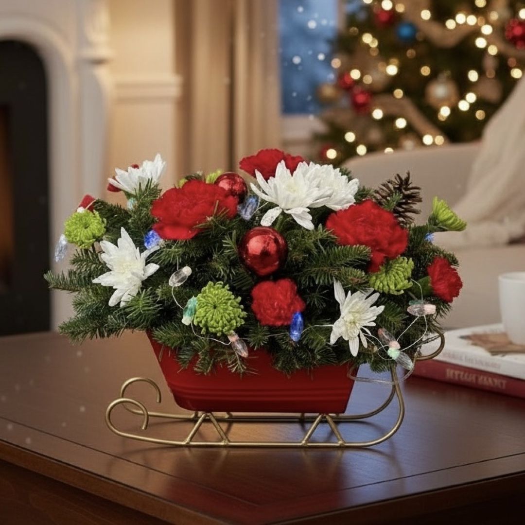 Dashing Through the Snow Sleigh