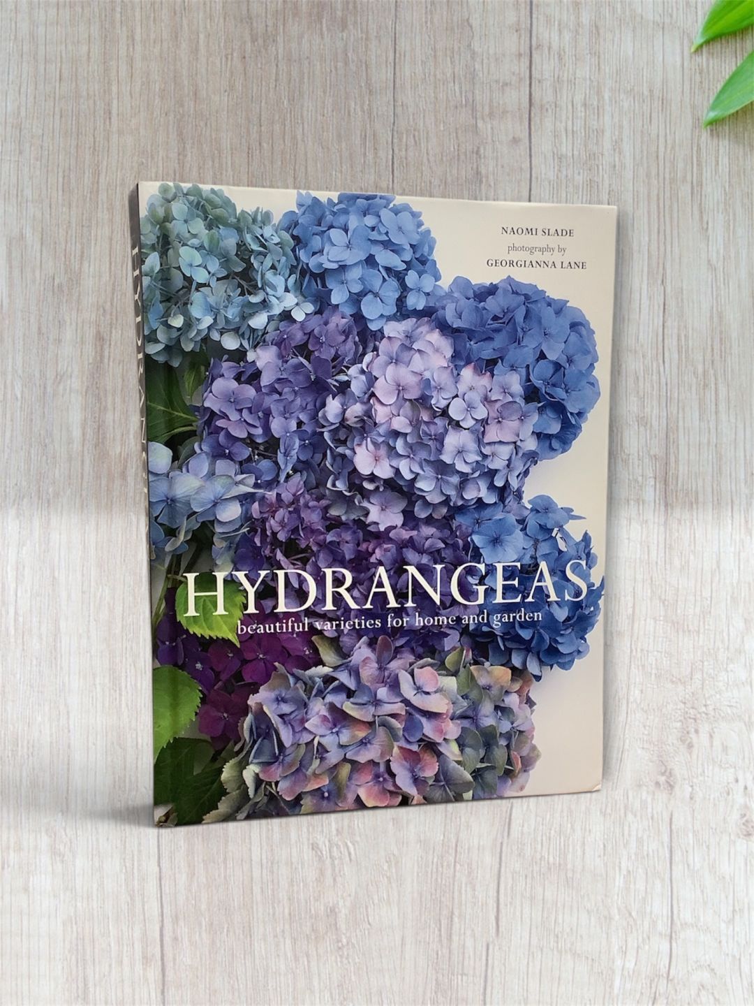 Hydrangeas Book