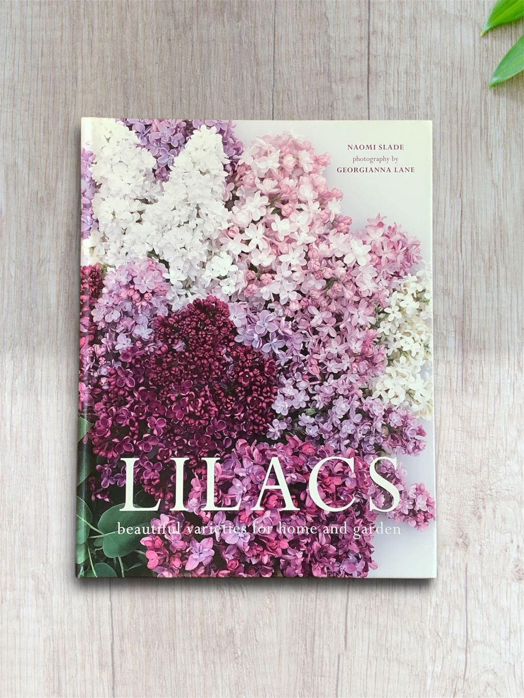 Lilacs book